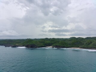 Aerial view of cliff-topped beach and forest
