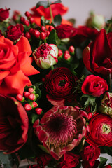 Beautiful red flowers: roses, ranunculus, protea, tulips, eucalyptus,   hypericum, amaryllis, close up view