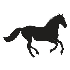 The beautiful horse is playing on the field. silhouettes illustration