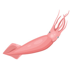 Concept Seafood calamar. The illustration depicts a cartoon-style design of a calamar, also known as a squid, in flat vector style. Vector illustration.
