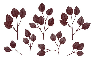 Watercolor designer elements set collection of brown,burgundy leaves, greenery art foliage natural leaves herbs in watercolor style. Decorative beauty elegant illustration for design
