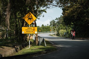 Sign with text' attention monkeys on road' in Langkawi