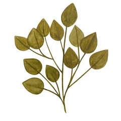 Watercolor designer elements set collection of green olive leaves, greenery art foliage natural leaves herbs in watercolor style. Decorative beauty elegant illustration for design