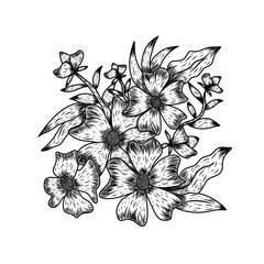 Hand drawn flowers and sketch contour lines and strokes on white backgrounds. Line art, black lines drawing vector. For design element, wedding, greeting card, or banner template. 