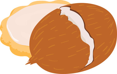 Coconut cookie icon isometric vector. Homemade shortbread cookie and big coconut. Dessert, food concept