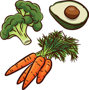 A set of healthy vegetables in the form of carrots, avacado and broccoli. Healthy Eating Concept Isolated on a White Background