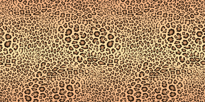 Realistic leopard print. Vector seamless pattern. Animal skin texture. Stylish background of jaguar, leopard, cheetah fur. Abstract exotic african style pattern. Repeat design for decor, print, fabric