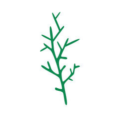 Concept Winter Christmas botany branch leaf plant. A simple yet charming cartoonish depiction of a Christmas tree branch is shown in this vector illustration. Vector illustration.