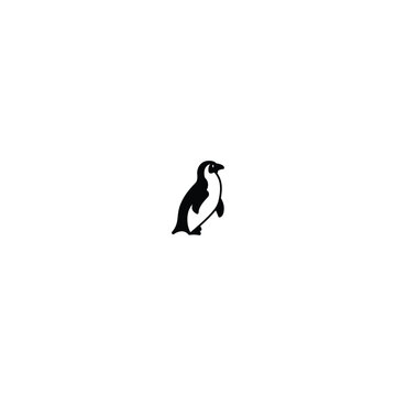 Handsome side penguin logo for illustration, business, vector, symbol, icon, design, penguin, animal, side, handsome, cartoon, background, template, logo, brand, emblem, beautiful, branding, identity