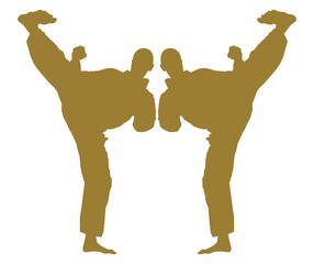 Silhouette of Martial Artist Kick (Taekwondo, Karate, Pencak Silat, Kungfu) for Logo or Graphic Design Element. Format PNG