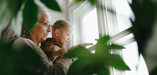 Grandmother with her little grandson looking out of the window.
