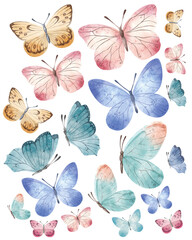 Watercolor butterflies illustration multicolored tender