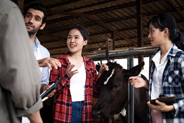 Man and woman managers using tablet on diary farm, agriculture industry. Diversity of young farm workers check the cows and record everything in agronomic programs on a tablet PC.