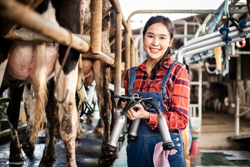 Woman worker in cowshed farm with automatical cow milking machines for sale to customer or biggest...