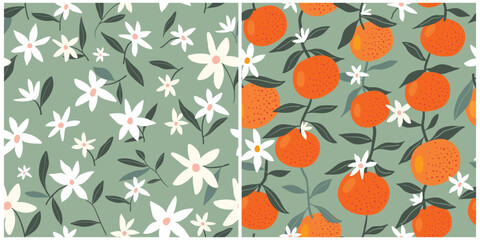 Seamless patterns set with oranges and orange blossoms, summer background wallpaper with ripe fruits, vector illustration 