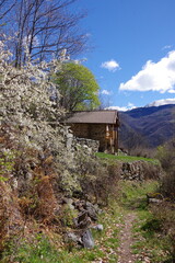 chalet maison en bois face au Canigou, abri refuge de montagne