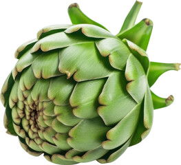 Fototapeta premium Green artichoke isolated.