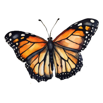Watercolor monarch butterfly. generative ai