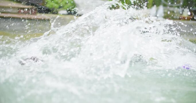 Playful black and white border collie fun play at swimming pool. Happy cute dog jump and dive to catch up toy into water. Summer activities, training sport exercise Family pet lifestyle. slow motion.
