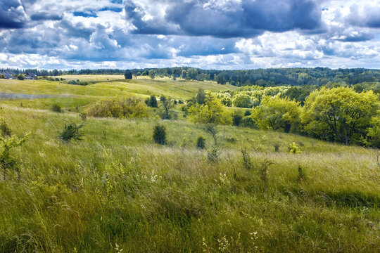 Beautiful view of the green fields in the summer