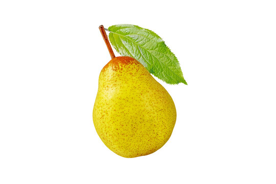 Rocha pear whole fruit isolated transparent png. Yellow green spotted pear and green leaf.