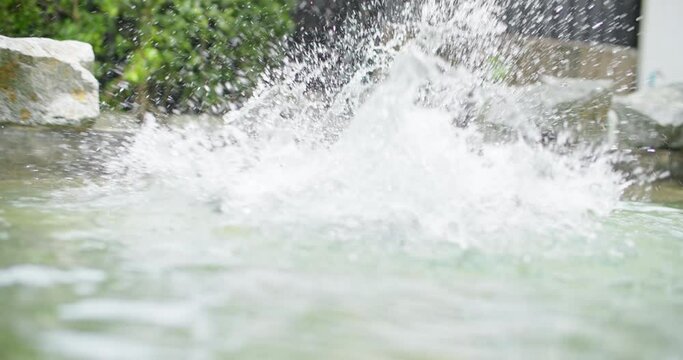 Playful black and white border collie fun play at swimming pool. Happy cute dog jump and dive to catch up toy into water. Summer activities, training sport exercise Family pet lifestyle. slow motion.