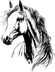 Vector drawing of a horse with black lining on white background