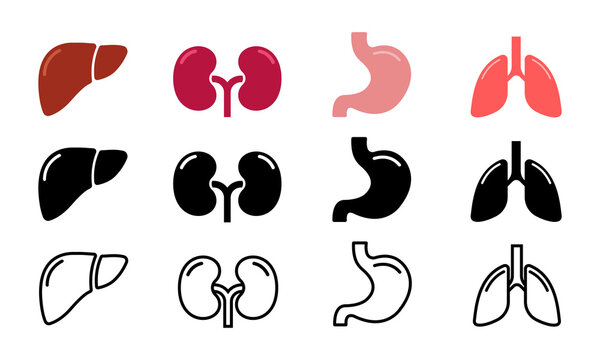 Set of human internal organ vector icons. Liver, kidneys, stomach and lungs. Vector 10 Eps.