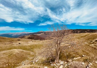 Vall de Ribes