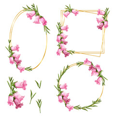 Floral Frame wreaths. Set of frame watercolor flowers.