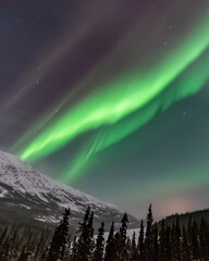 Incredible northern lights scenery seen in Yukon Territory in Canada with green & pink bands coming out over the snow capped mountains. 