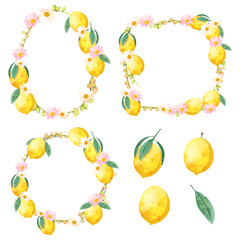 Fototapeta na wymiar Watercolor colorful of lemon fruit and flower with circle and square shape for graphic designer decorate