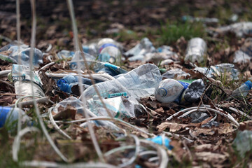 Fototapeta Plastikowe butelki zanieczyszczają środowisko w lesie. Śmieci.  obraz