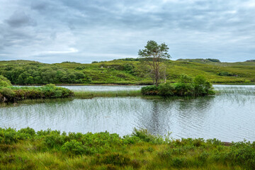 View of Loch Bad a Chrota near Gairloch in North West Highlands, Scotland UK