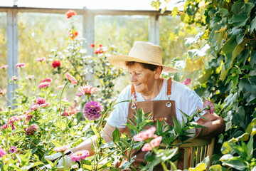 Senior woman working in garden or at summer farm. Sustainable lifestyle real people simple life concept