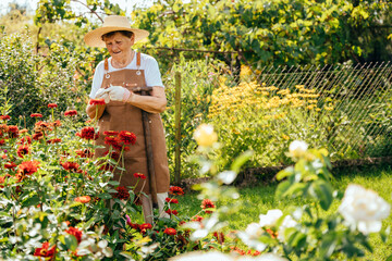 Positive senior gardener woman in workwear enjoy flowers in garden outdoor..