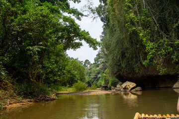 Fluss Regenwald