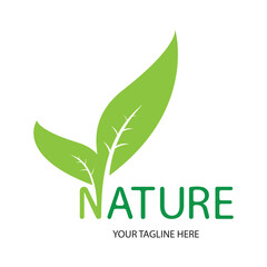 leaf nature logo design template on white background
