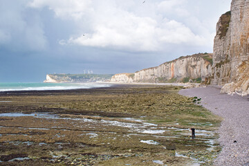 Yport, Blick auf die Falaise d’Amont und Fécamp