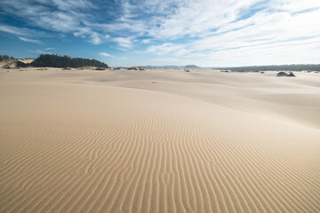 Fototapeta na wymiar dunes, sand, ripples , lines 