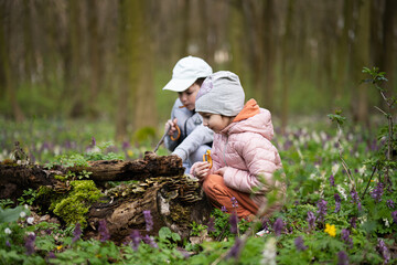 Brother with sister discover wood at spring forest.