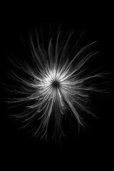 Black and white artistic conceptual illustration of a beautiful flower or floral element closeup. Generative AI