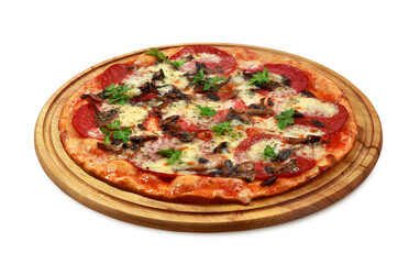Delicious pizza with salami and mushrooms