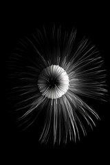 Black and white artistic conceptual illustration of a beautiful flower or floral element closeup. Generative AI