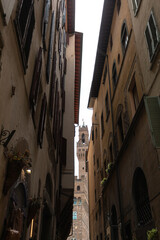 Fototapeta na wymiar Palazzo Vecchio in Piazza della Signoria in Florence, Italy