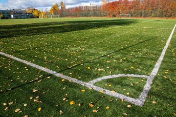 Beautiful view of fallen autumn leaves on green grass at a soccer field during daytime - Powered by Adobe