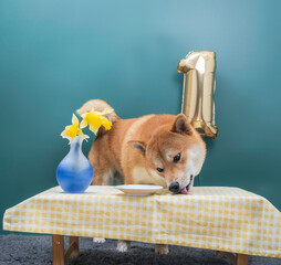 Fototapete bei efototapeten.de bestellen   