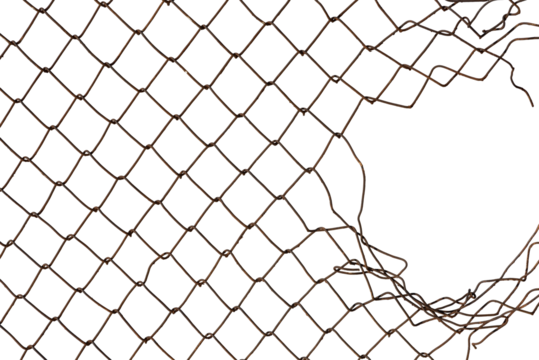 The texture of the metal mesh. Torn, destroyed, broken metal mesh on a white background