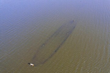 Aerial view of boat on green river