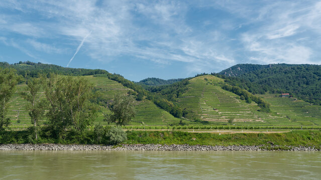  vom Weinanbau geprägte Landschaft der Wachau am Fluss Donau in Österreich 